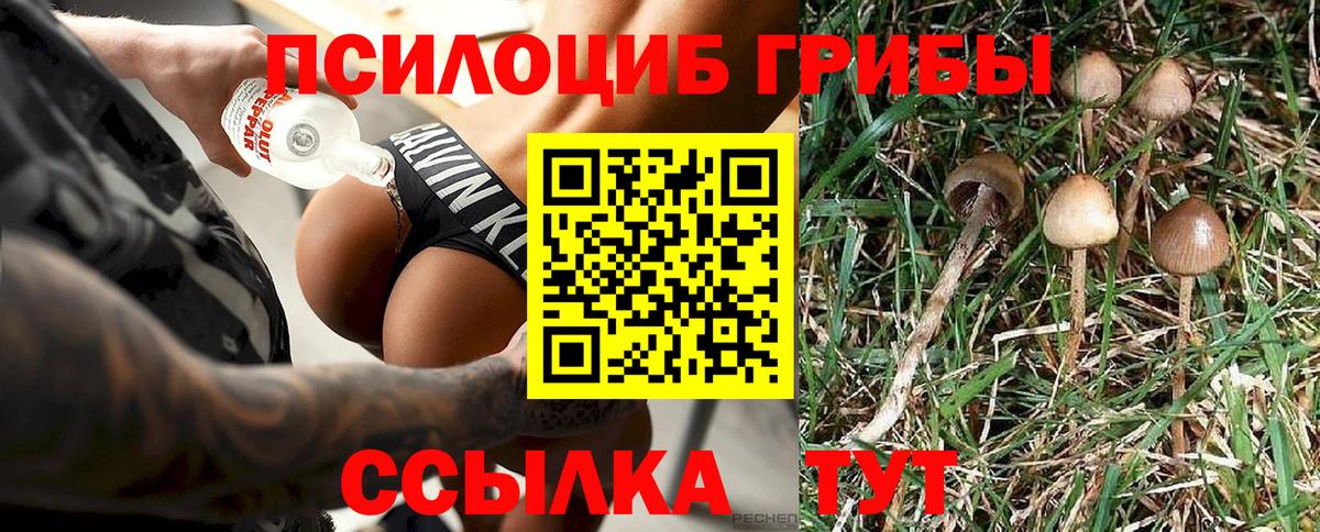 Псилоцибиновые грибы мицелий Юрга